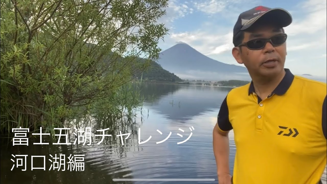 スカンク で 富士河口湖, Japan