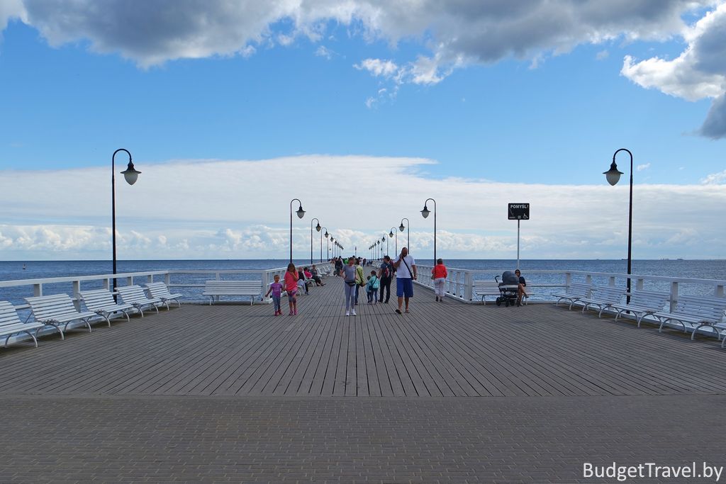 Gdynia, Woj. Pomorskie Zdzira