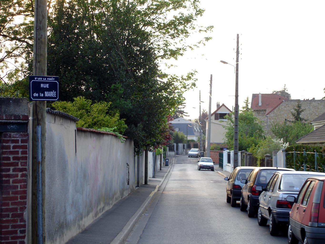 Pute  Saint-Leu-la-Forêt