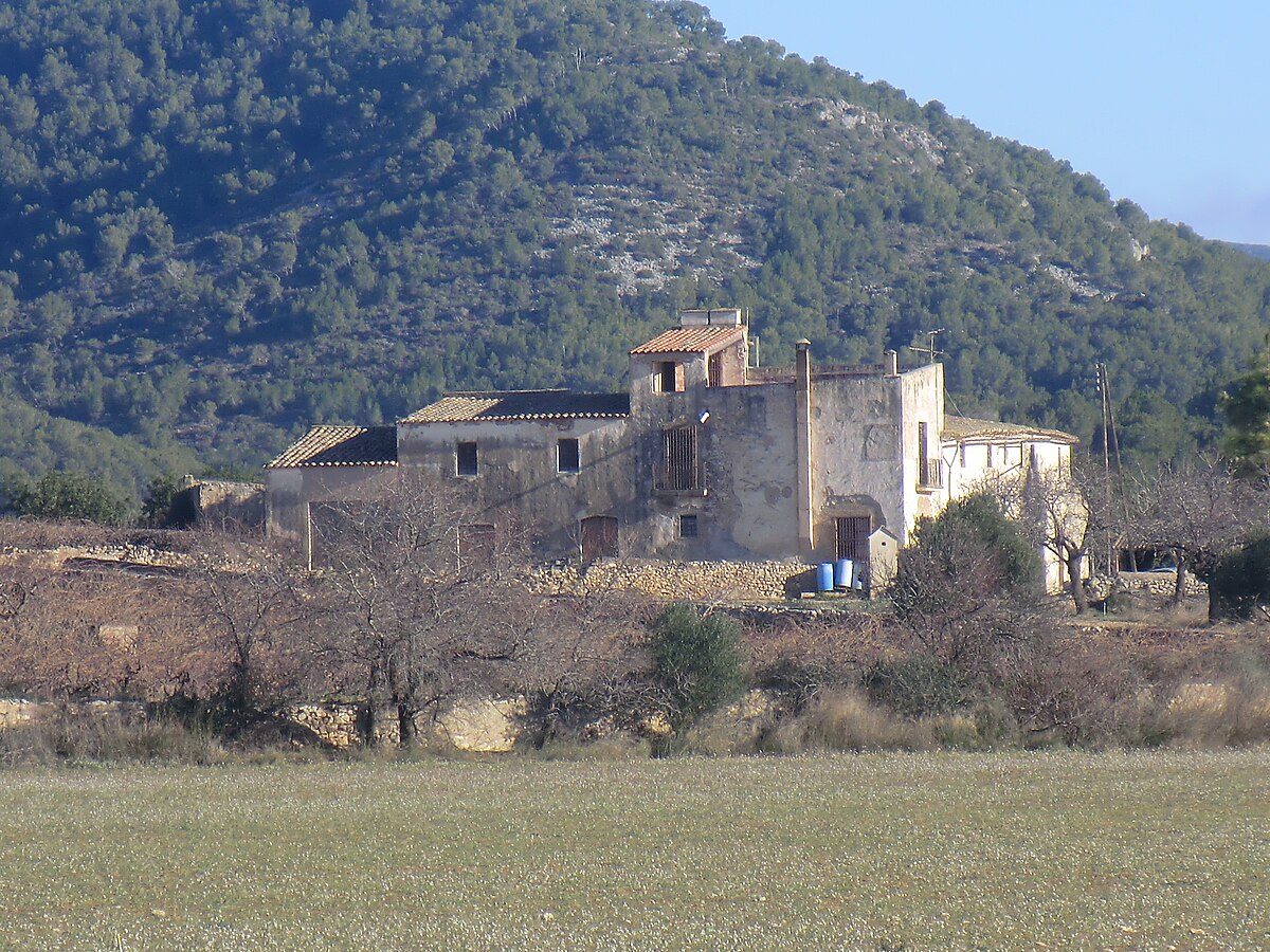 Zorra en Sant Pere de Ribes (ES)